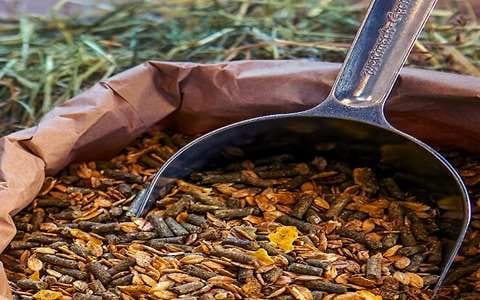 تصویر 5 از خرید کنسانتره اسب اسپینا + قیمت فروش استثنایی